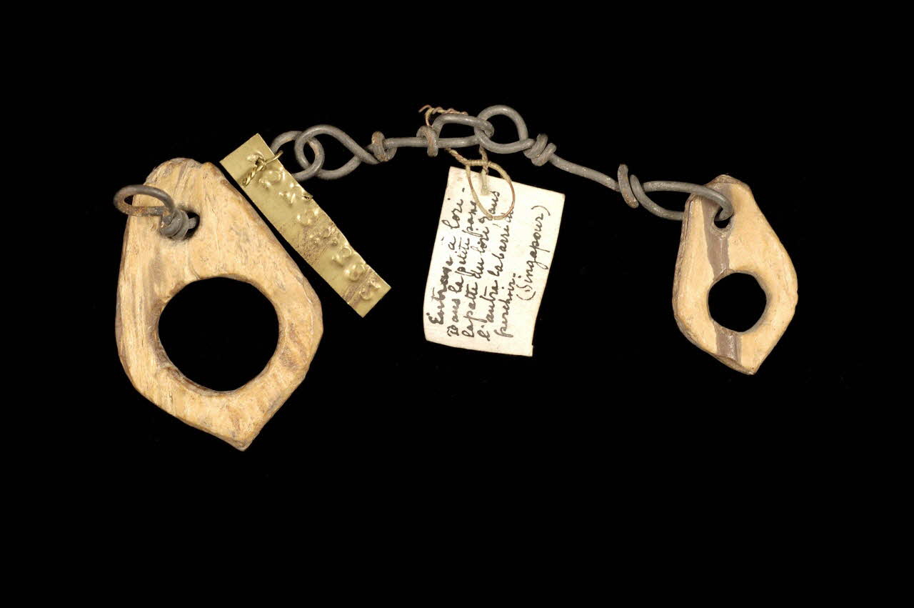 entrave à oiseau 1953.85.382 Photo