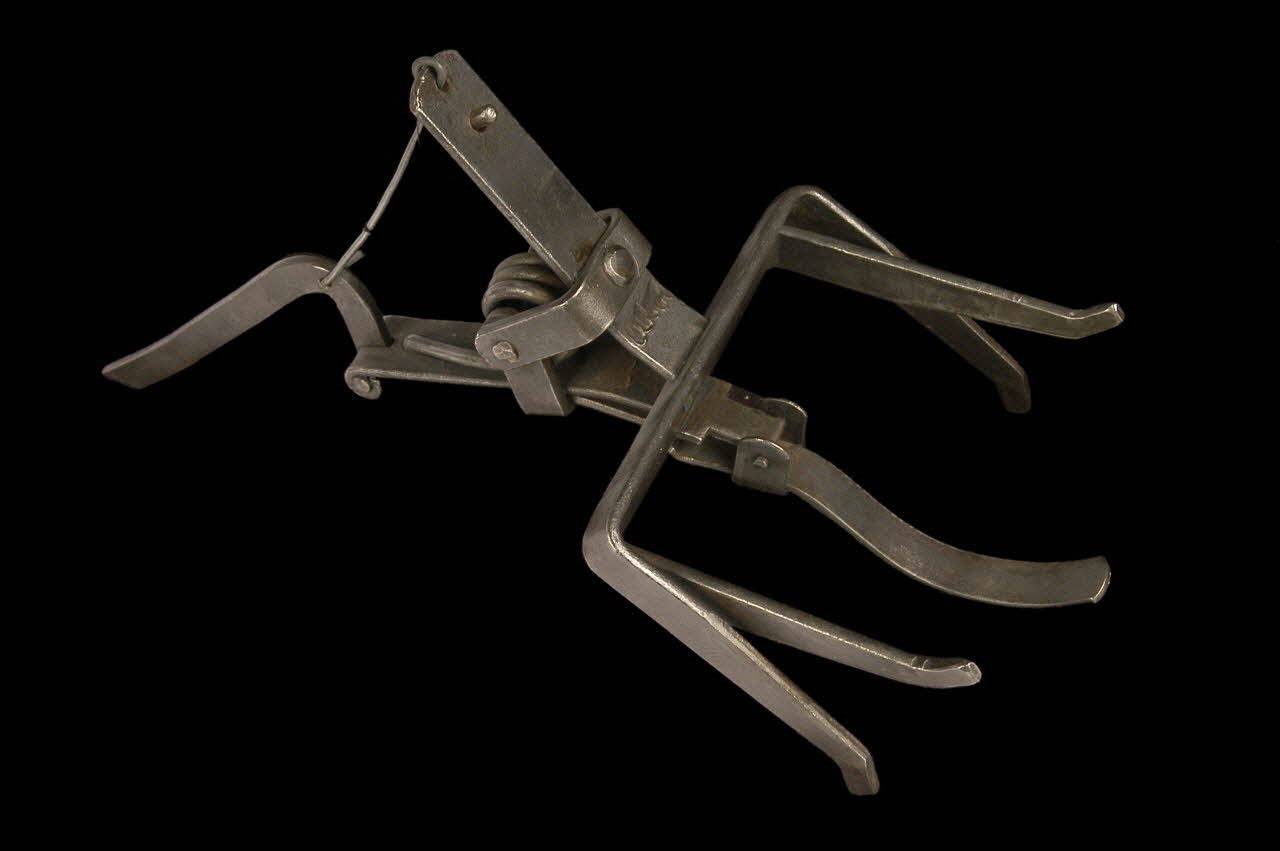 piège 1953.85.74 Photo