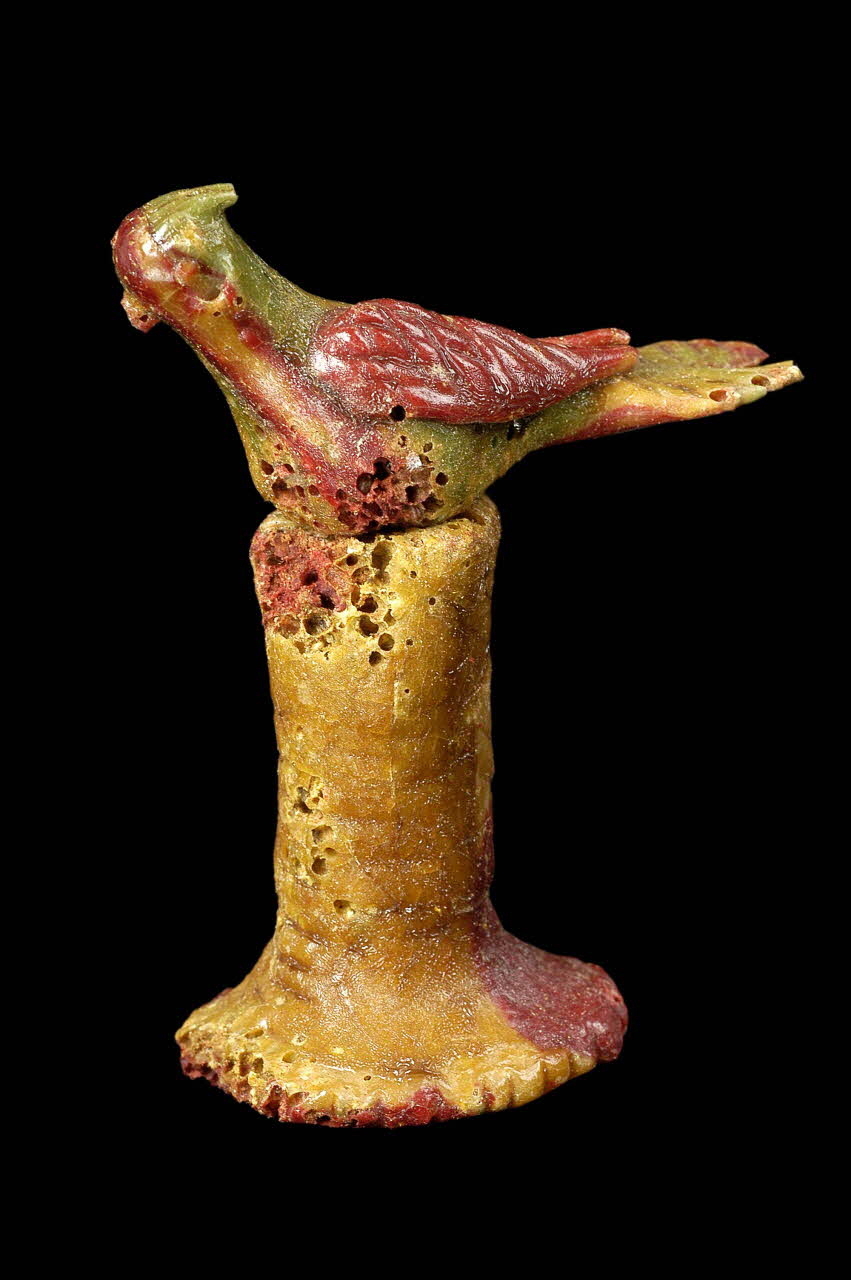 OISEAU DMH1953.97.30  Photo