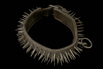 collier de chien 1954.31.22 Photo