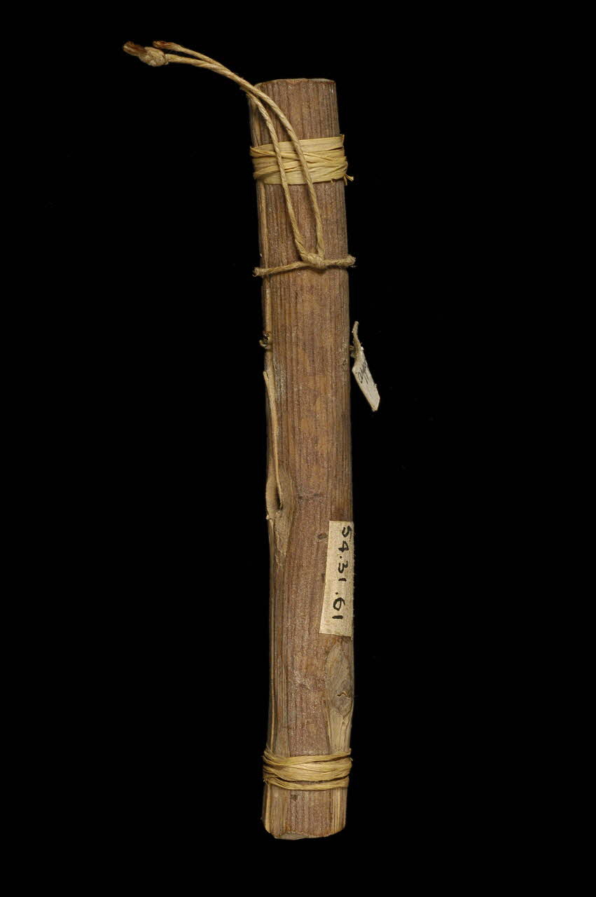 appeau 1954.31.61 Photo