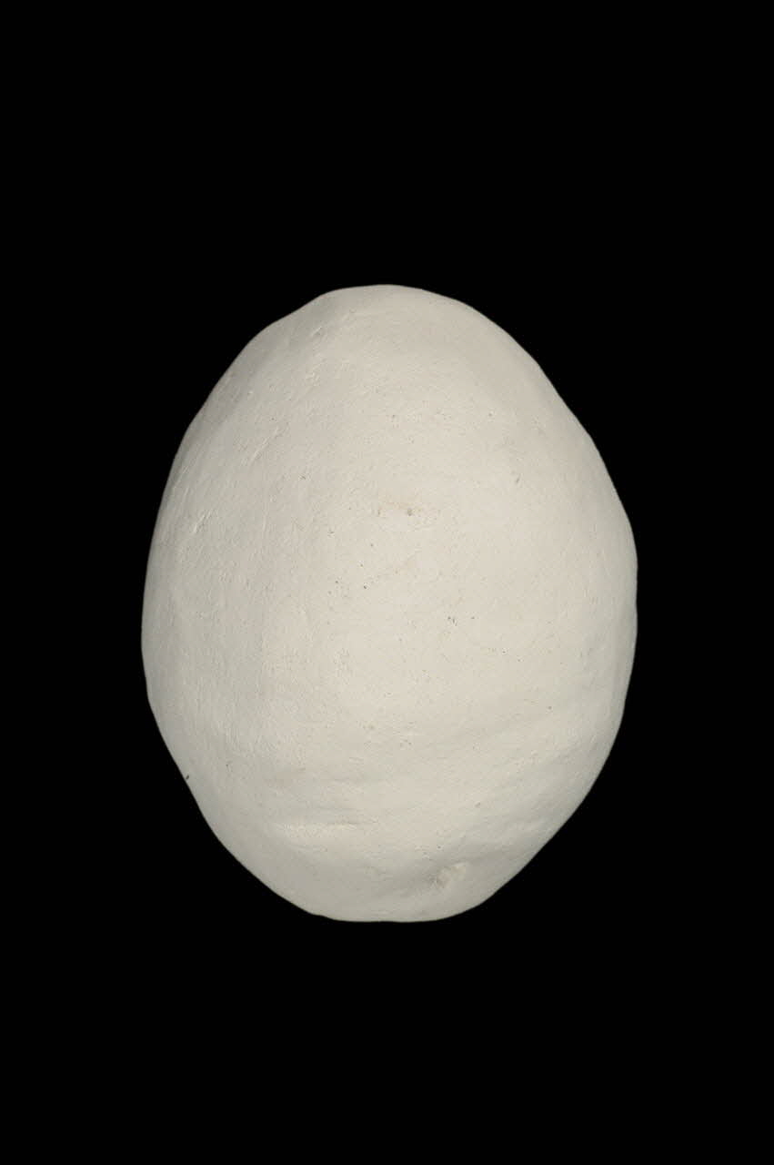 OEUF DE PLATRE 1955.64.7 Photo