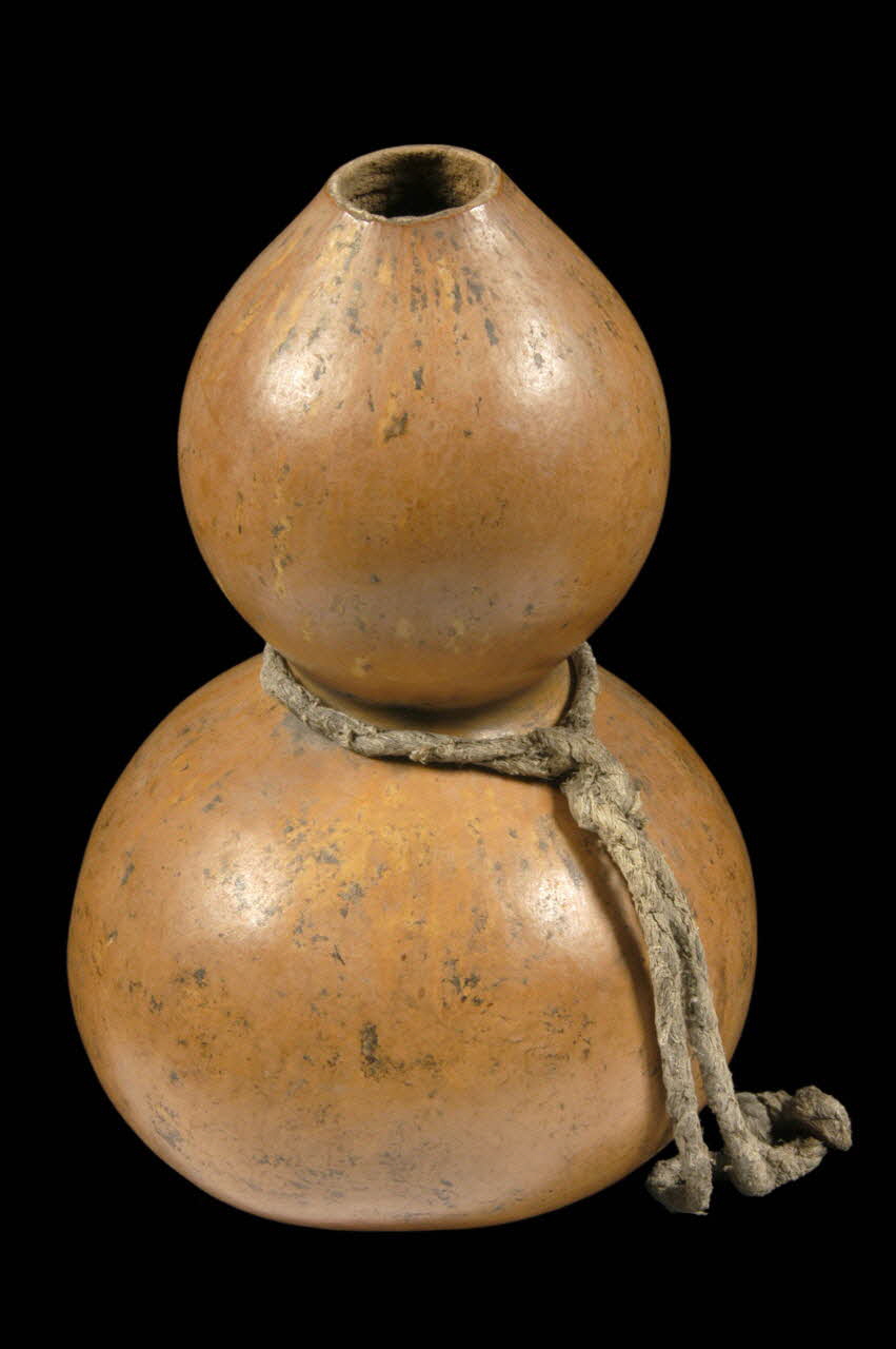 COURGE tikva DMH1955.59.1217 Photo