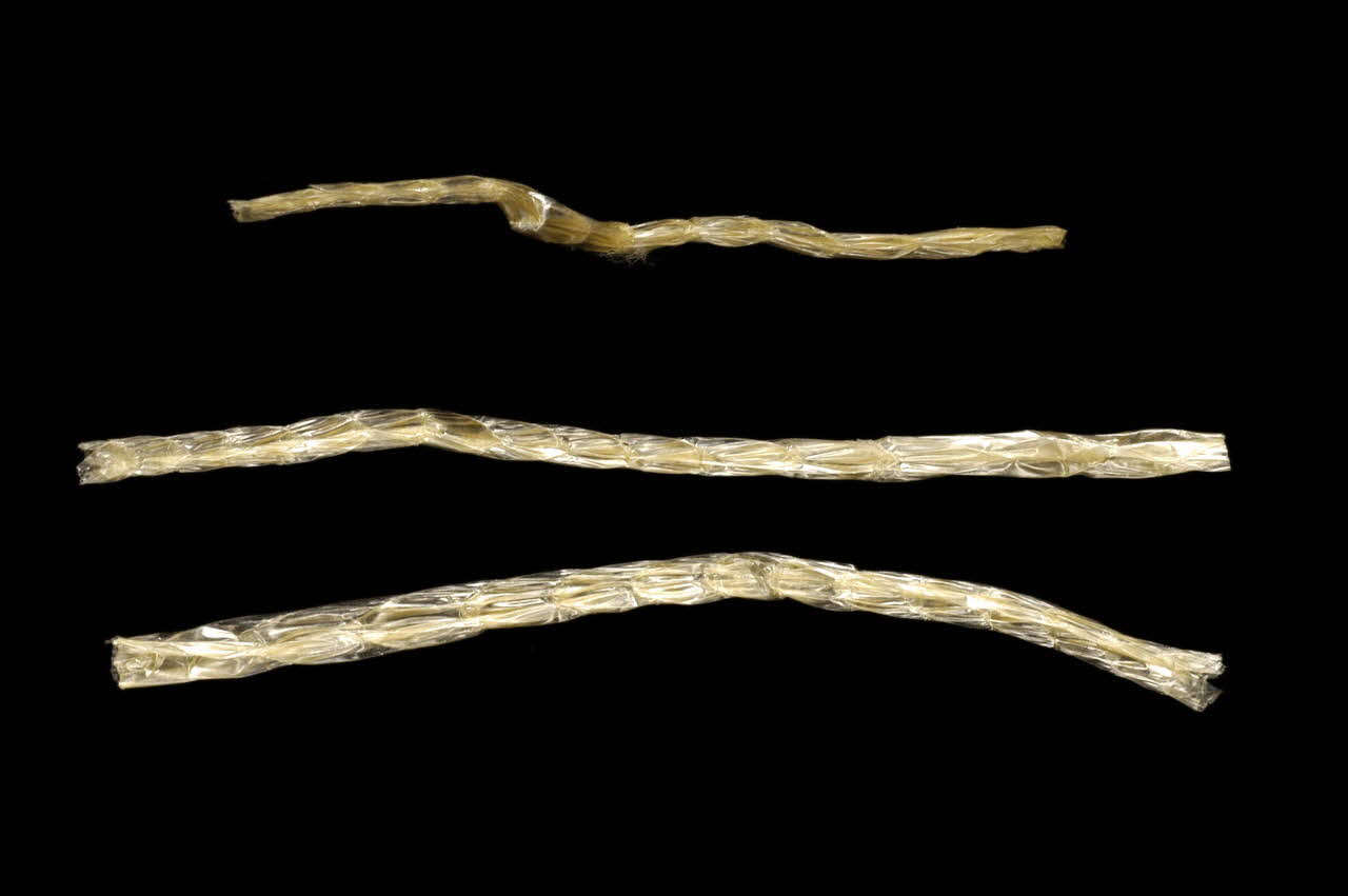 anche 1956.54.23.4 Photo