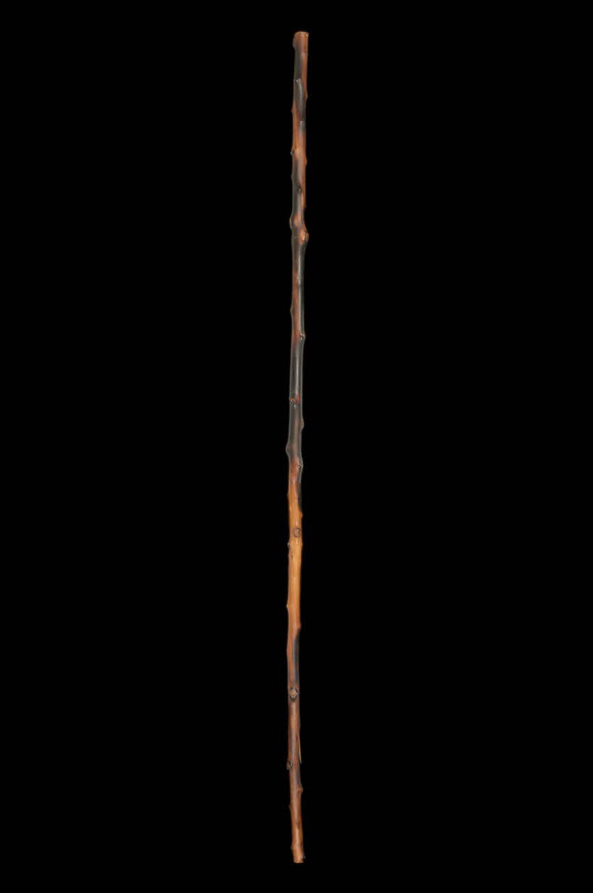 BATON DE BERGER bastoun Rhône-Alpes, France 1956 1959.110.134  Photo
