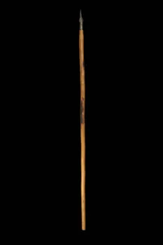 BATON DE BERGER burdu 1961.110.2 Photo