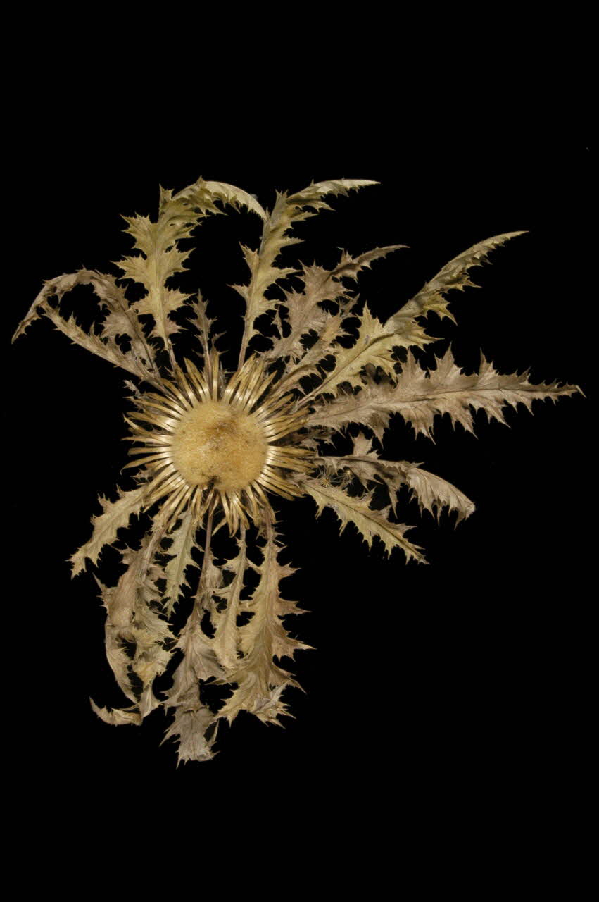 CHARDON 1961.123.36.3 Photo