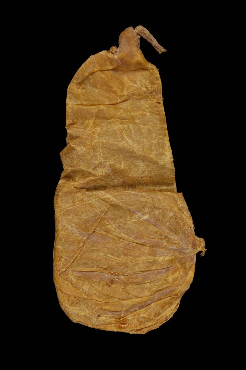 PANSE D'AGNEAU POUR LA PRESURE 1962 1961.151.8 Photo