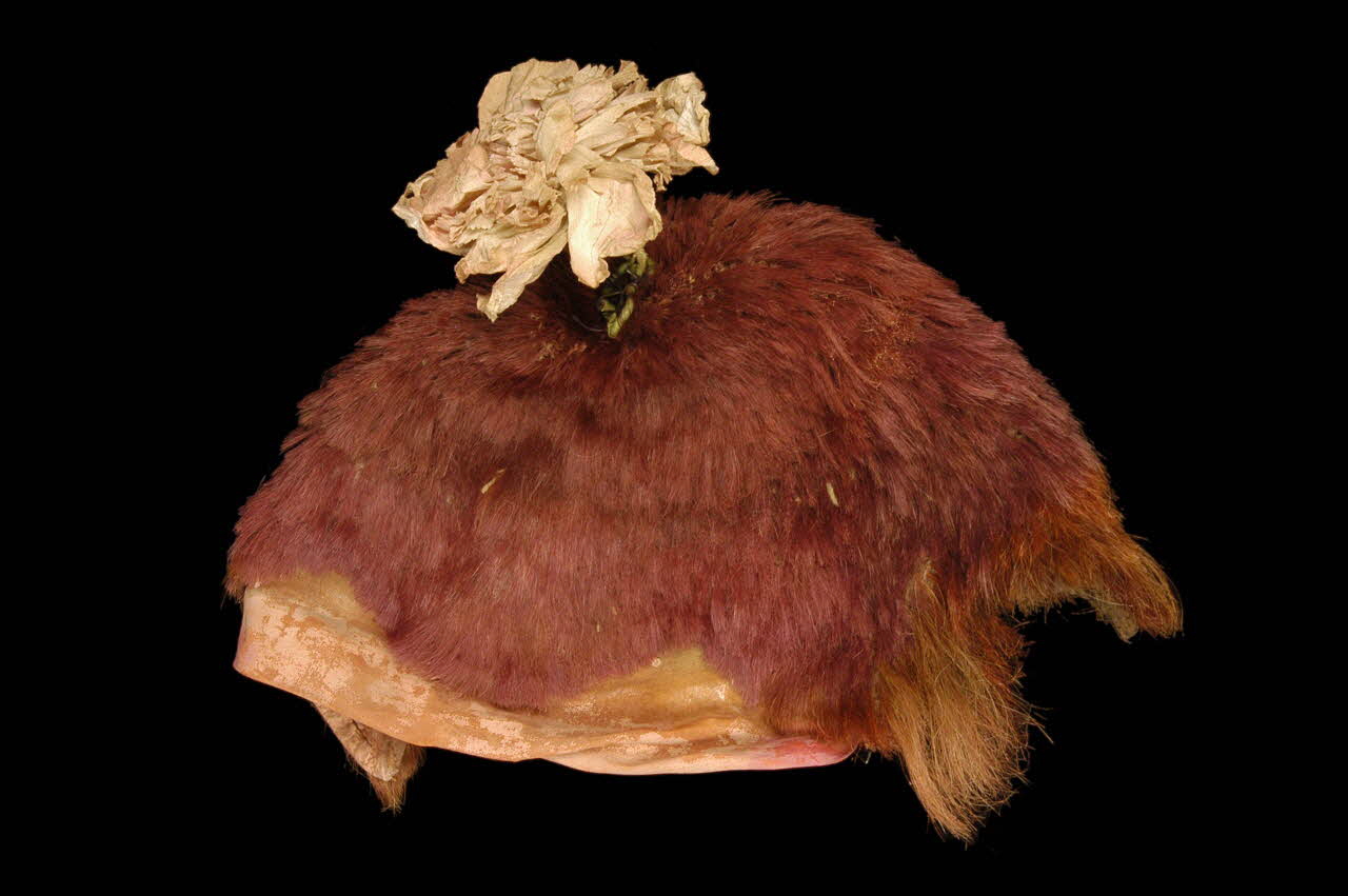 accessoire du costume de clown 1961.70.4 Photo