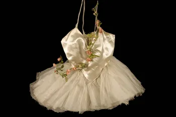 costume professionnel du cirque 1964.112.6 Photo