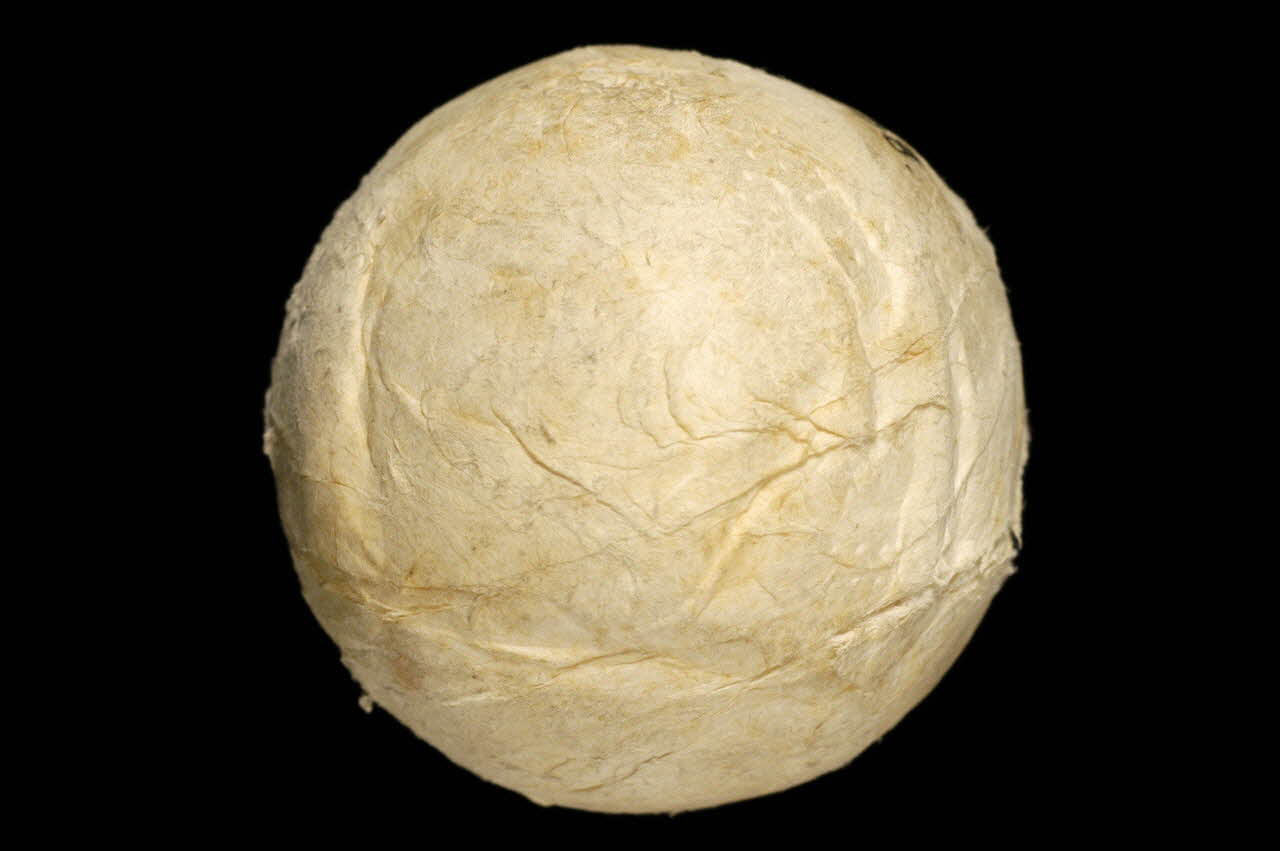 BOULE 1964.32.38 Photo