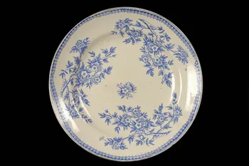 assiette plate Rhône-Alpes, France 1900-1912 1965.65.29 Photo