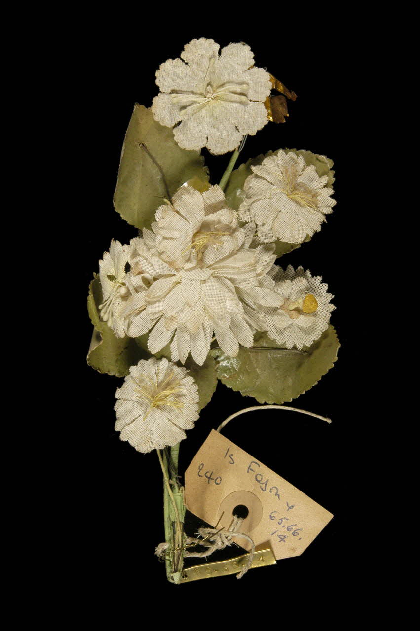 bouquet de fleurs 1965.66.14 Photo