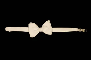 noeud papillon 1967.115.3.5 Photo