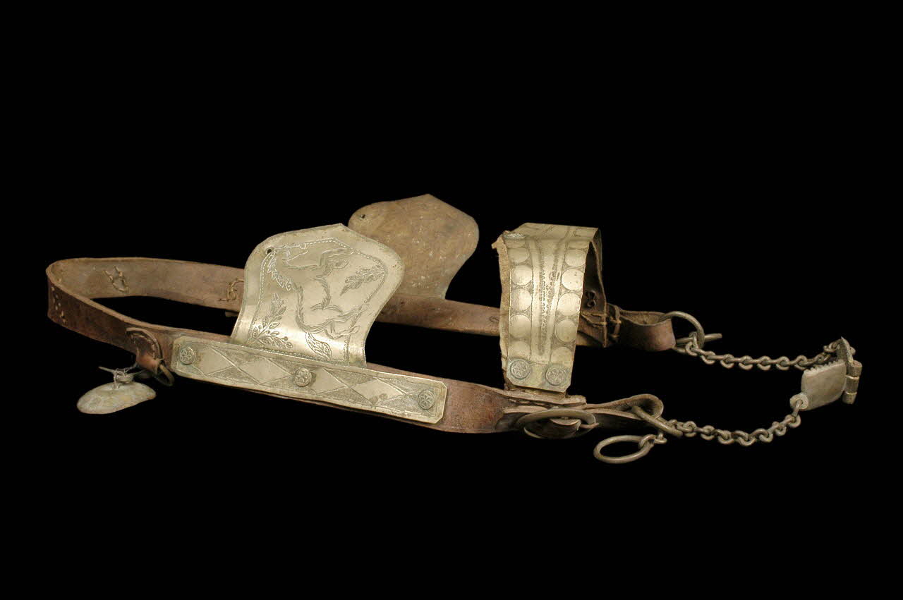 TETIERE DE MULET DMH1967.125.3.2-3 Photo