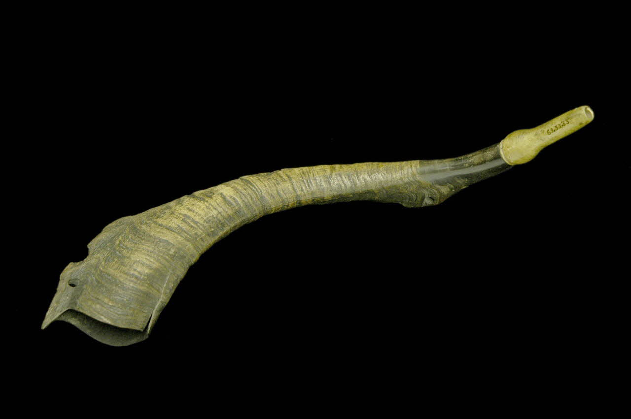 trompe d'appel 1969.33.33 Photo