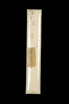 LETTRES D'ENSEIGNE 1970.103.37.3 Photo