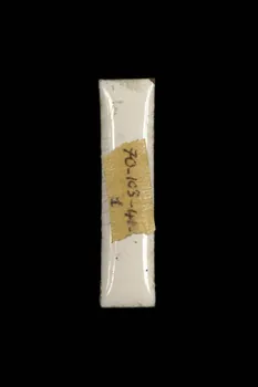 LETTRES D'ENSEIGNE 1970.103.41.1 Photo