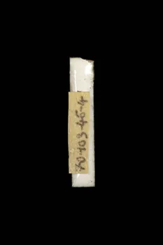 LETTRES D'ENSEIGNE 1970.103.46.4 Photo