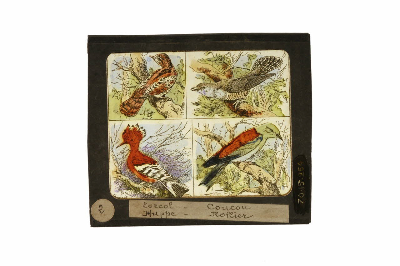 plaque de lanterne magique 1970.15.254 Photo