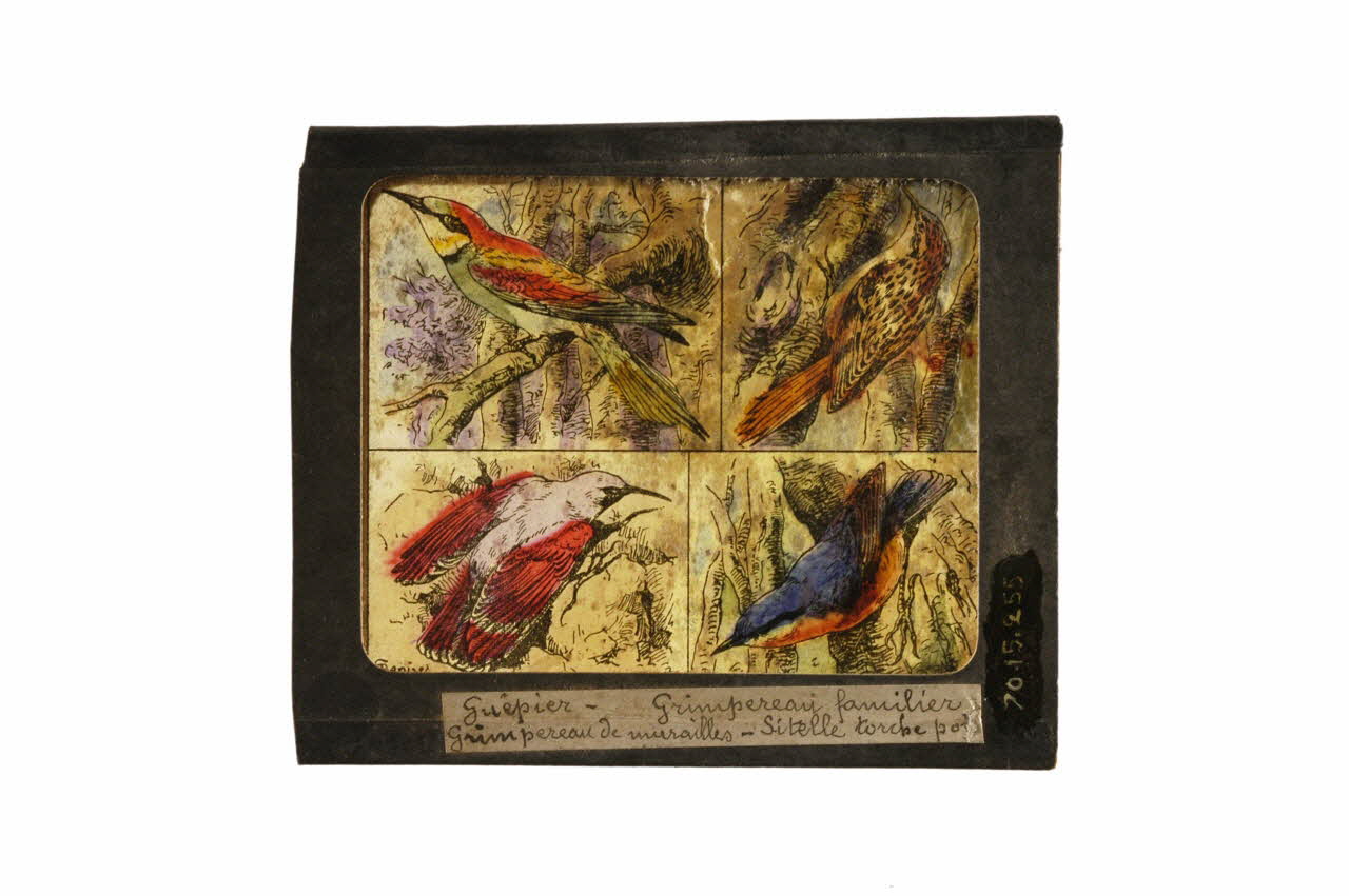 plaque de lanterne magique 1970.15.255 Photo