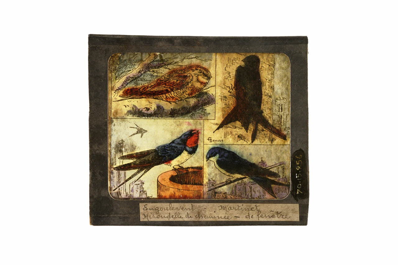 plaque de lanterne magique 1970.15.256 Photo