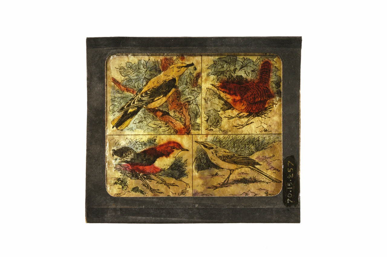 plaque de lanterne magique 1970.15.257 Photo