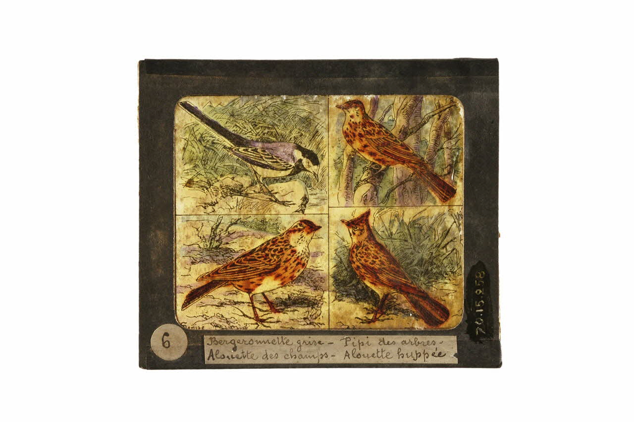 plaque de lanterne magique 1970.15.258 Photo