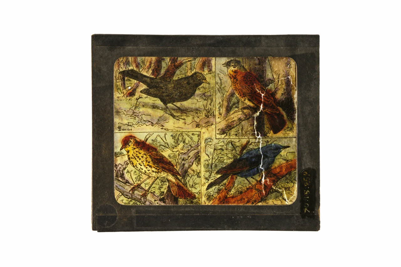 plaque de lanterne magique 1970.15.259 Photo