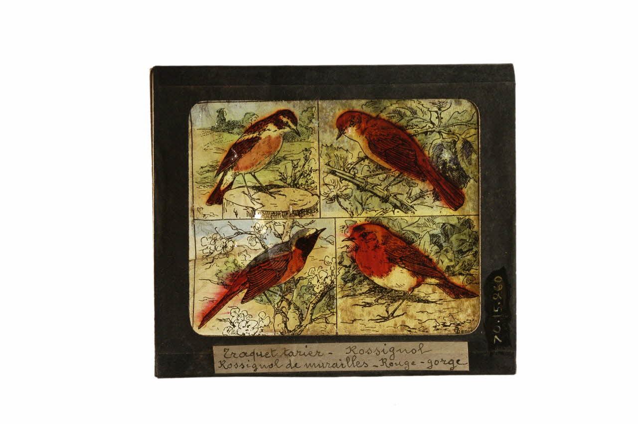 plaque de lanterne magique 1970.15.260 Photo