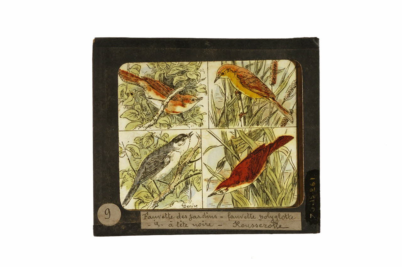 plaque de lanterne magique 1970.15.261 Photo