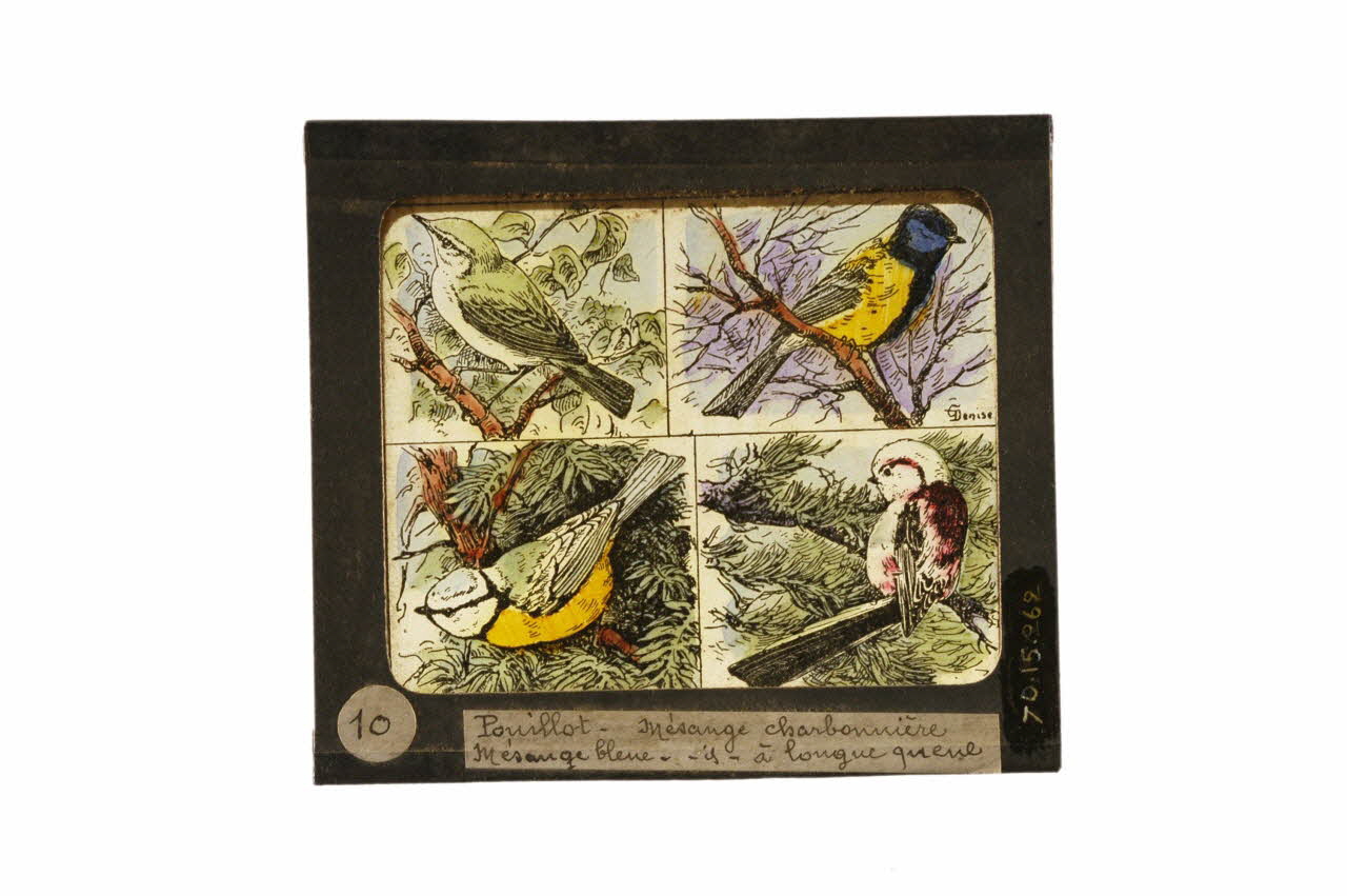 plaque de lanterne magique 1970.15.262 Photo