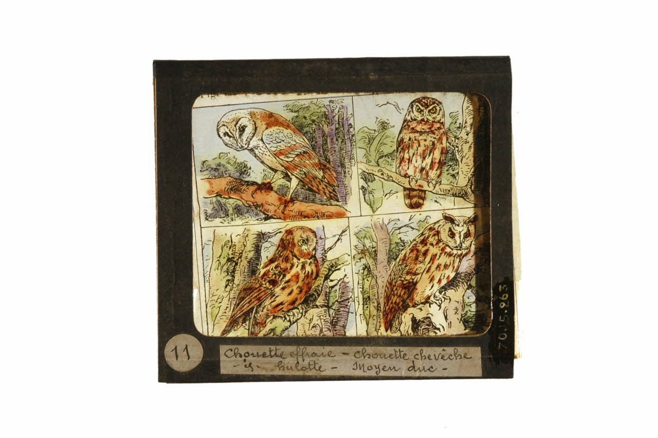 plaque de lanterne magique 1970.15.263 Photo