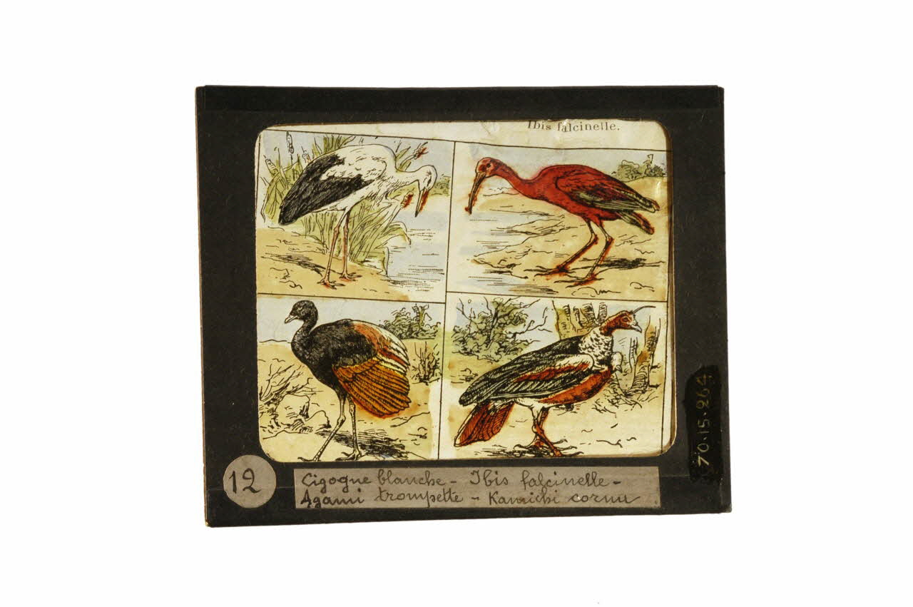 plaque de lanterne magique 1970.15.264 Photo