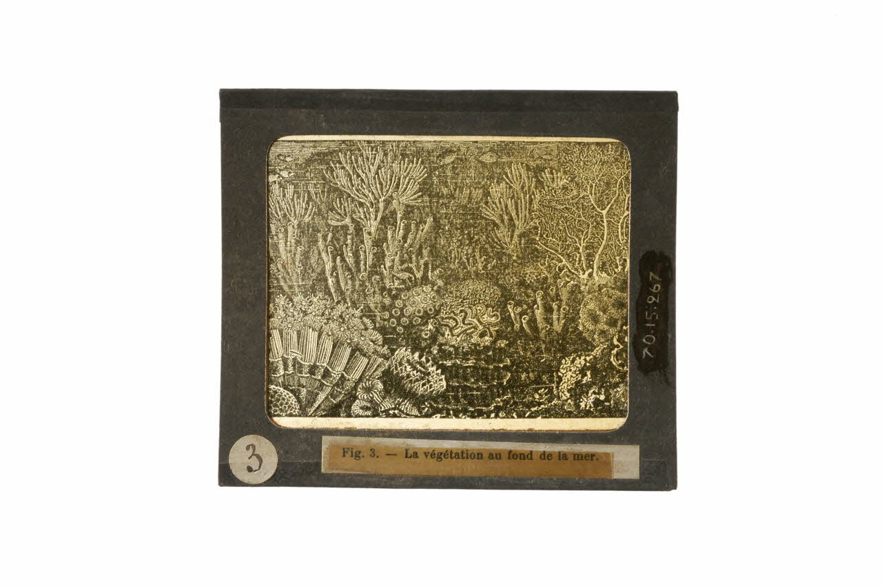 plaque de lanterne magique 1970.15.267 Photo
