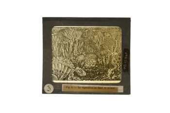 plaque de lanterne magique 1970.15.267 Photo