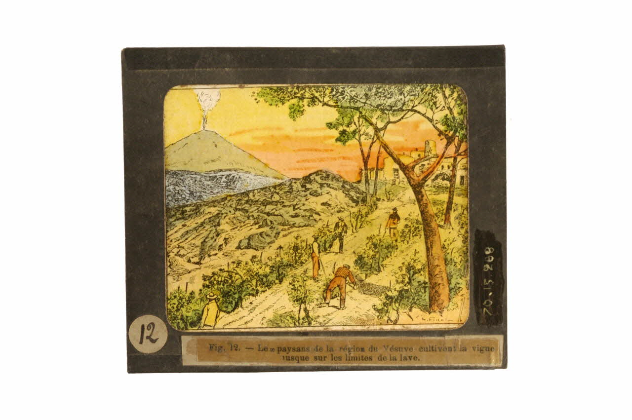 plaque de lanterne magique Fig. 12. - Les paysans de la région du Vésuve cultivent la vigne jusque sur les limites de la lave 1970.15.288 Photo