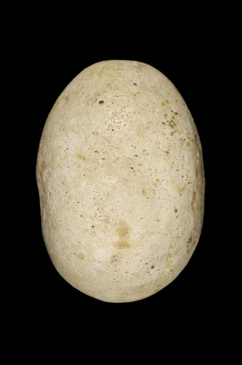 OEUF DE PLATRE 1971.1.13 Photo