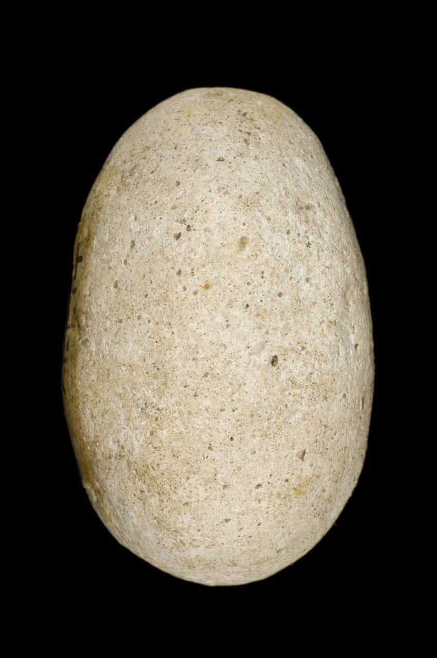 OEUF DE PLATRE 1971.1.14 Photo