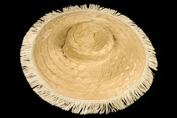 chapeau de singe savant 1970 1971.65.2 Photo
