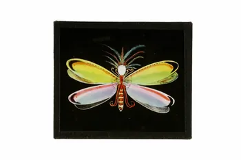 plaque de lanterne magique 1971.91.17 Photo
