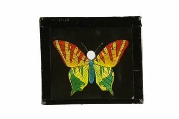 plaque de lanterne magique 1971.91.19 Photo