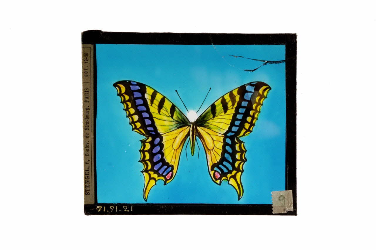 plaque de lanterne magique 1971.91.21 Photo