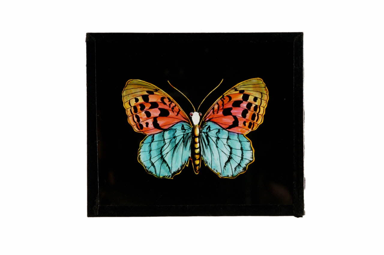 plaque de lanterne magique 1971.91.26 Photo