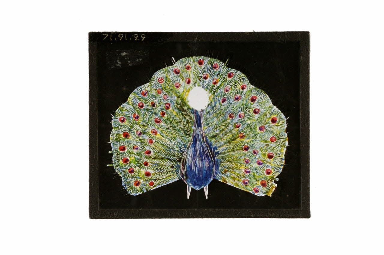 plaque de lanterne magique 1971.91.29 Photo