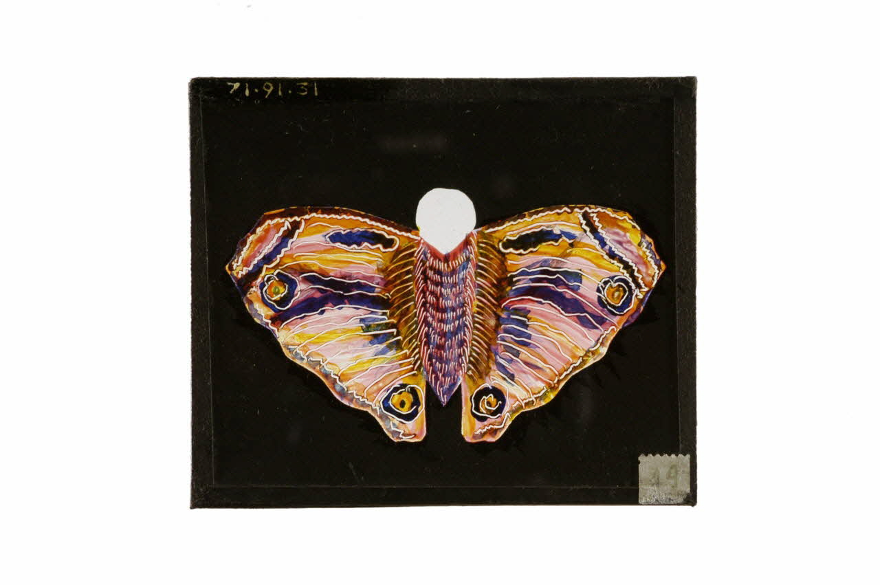 plaque de lanterne magique 1971.91.31 Photo