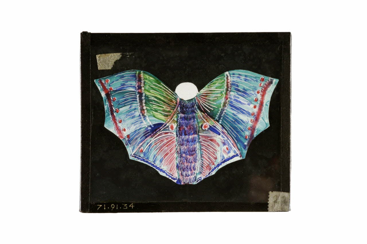 plaque de lanterne magique 1971.91.34 Photo