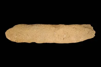 BOUDIN DMH1974.96.122 Photo