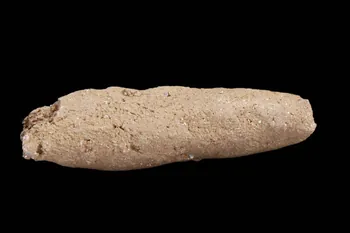 BOUDIN DMH1974.96.123 Photo
