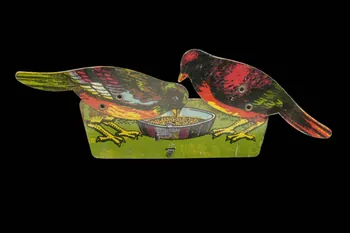 OISEAU DMH1974.96.29  Photo